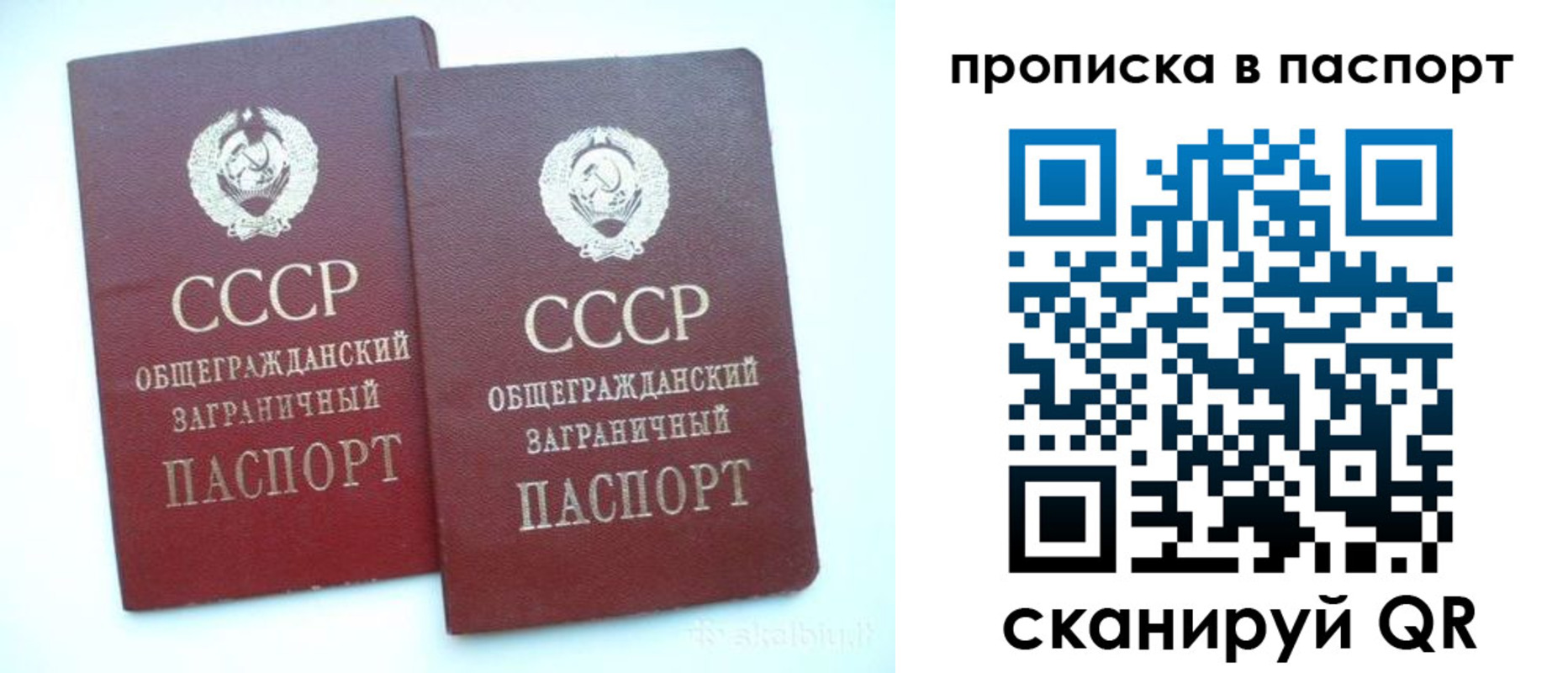 прописка законно в Владимире